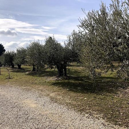 Appartement Au Milieu Des Oliviers Rasteau Kültér fotó