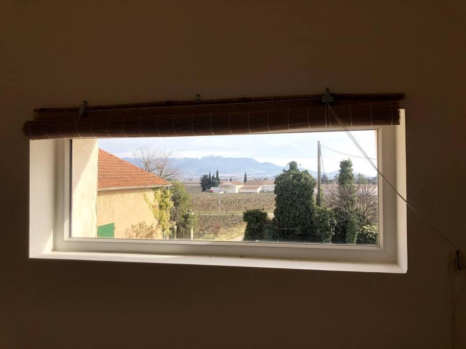 Appartement Au Milieu Des Oliviers Rasteau Kültér fotó