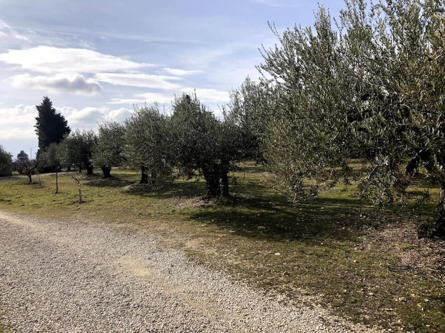Appartement Au Milieu Des Oliviers Rasteau Kültér fotó